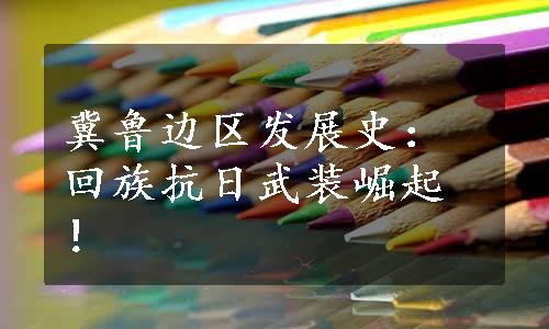 冀鲁边区发展史：回族抗日武装崛起！