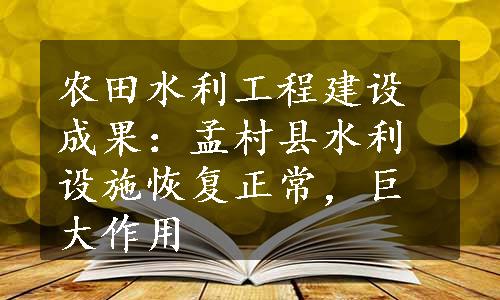 农田水利工程建设成果：孟村县水利设施恢复正常，巨大作用