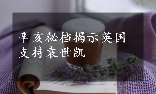 辛亥秘档揭示英国支持袁世凯