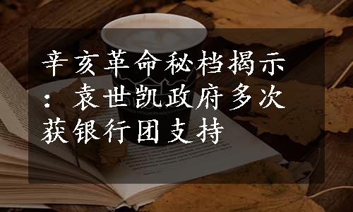 辛亥革命秘档揭示：袁世凯政府多次获银行团支持