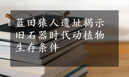 蓝田猿人遗址揭示旧石器时代动植物生存条件