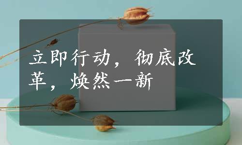 立即行动，彻底改革，焕然一新