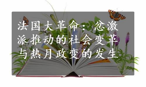 法国大革命：忿激派推动的社会变革与热月政变的发生