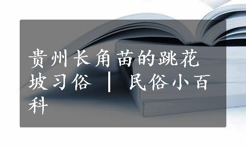 贵州长角苗的跳花坡习俗 | 民俗小百科