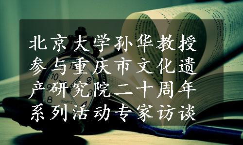 北京大学孙华教授参与重庆市文化遗产研究院二十周年系列活动专家访谈