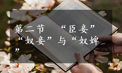 第二节　“臣妾”“奴妾”与“奴婢”