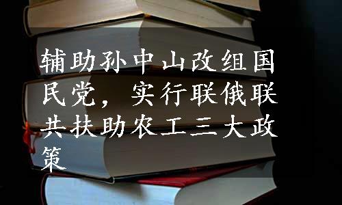 辅助孙中山改组国民党，实行联俄联共扶助农工三大政策