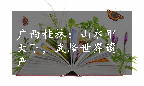 广西桂林：山水甲天下，武隆世界遗产