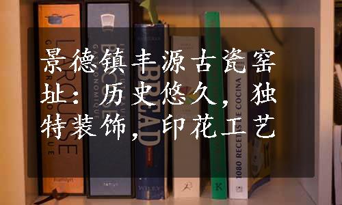 景德镇丰源古瓷窑址：历史悠久，独特装饰，印花工艺