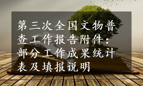 第三次全国文物普查工作报告附件：部分工作成果统计表及填报说明