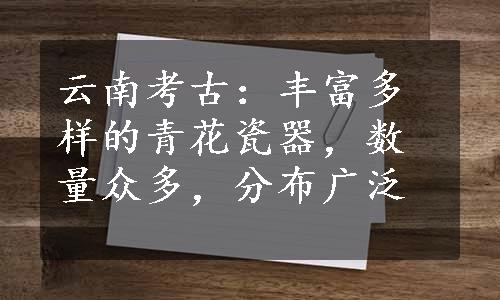 云南考古：丰富多样的青花瓷器，数量众多，分布广泛