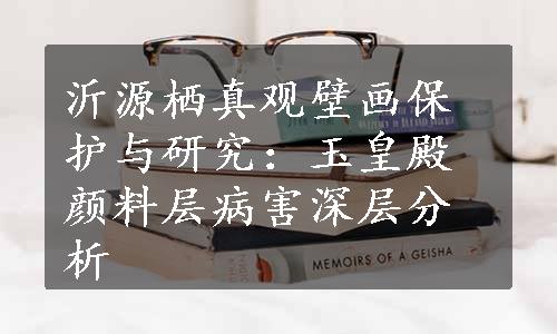 沂源栖真观壁画保护与研究：玉皇殿颜料层病害深层分析