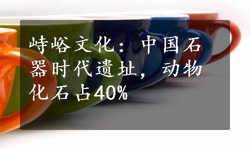 峙峪文化：中国石器时代遗址，动物化石占40%