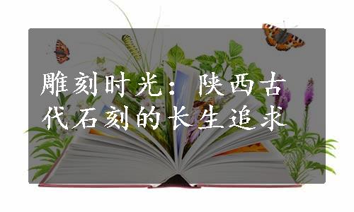 雕刻时光：陕西古代石刻的长生追求