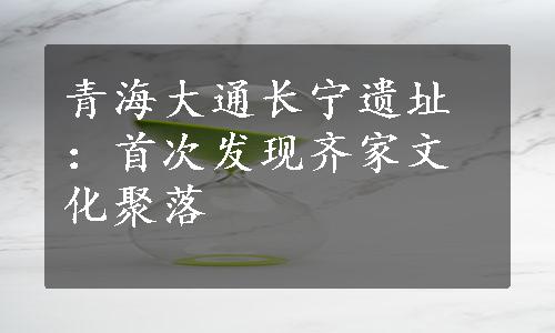 青海大通长宁遗址：首次发现齐家文化聚落