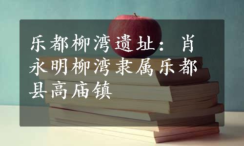 乐都柳湾遗址：肖永明柳湾隶属乐都县高庙镇