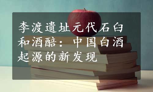 李渡遗址元代石臼和酒醅：中国白酒起源的新发现