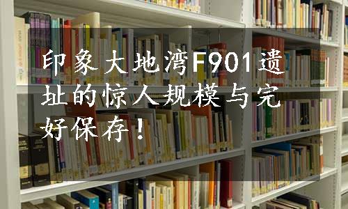 印象大地湾F901遗址的惊人规模与完好保存！