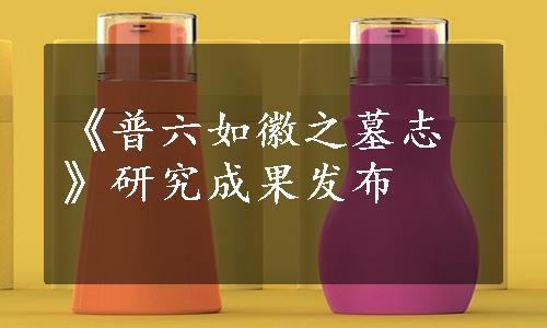 《普六如徽之墓志》研究成果发布