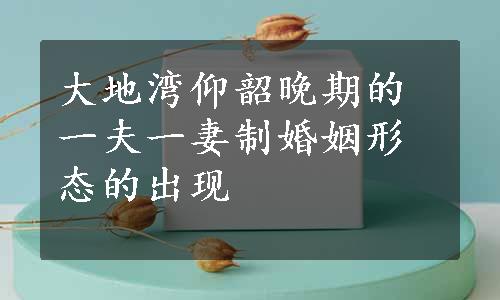 大地湾仰韶晚期的一夫一妻制婚姻形态的出现