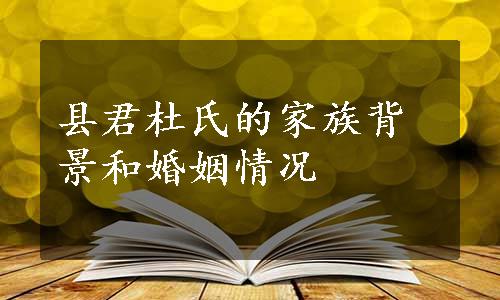 县君杜氏的家族背景和婚姻情况