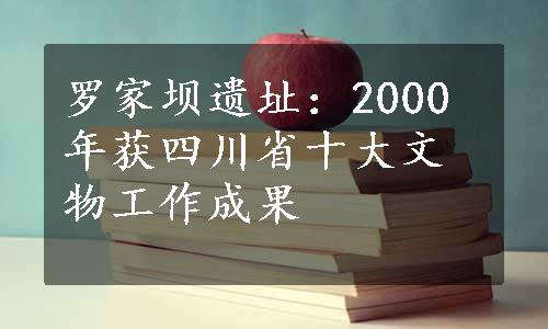 罗家坝遗址：2000年获四川省十大文物工作成果