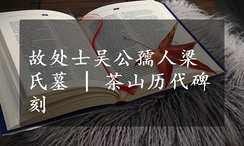 故处士吴公孺人梁氏墓 | 茶山历代碑刻