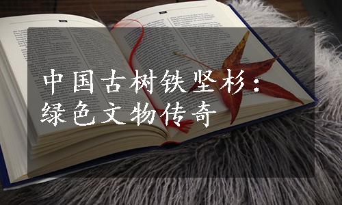 中国古树铁坚杉：绿色文物传奇