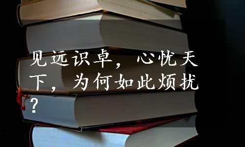 见远识卓，心忧天下，为何如此烦扰？