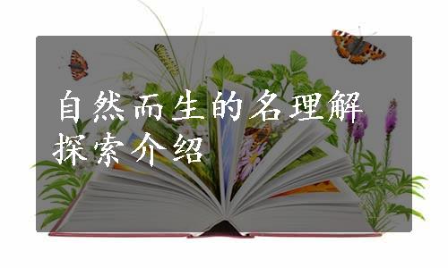 自然而生的名理解探索介绍