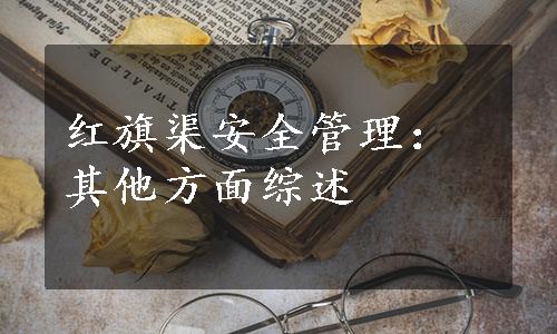 红旗渠安全管理：其他方面综述