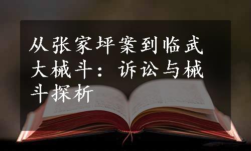 从张家坪案到临武大械斗：诉讼与械斗探析