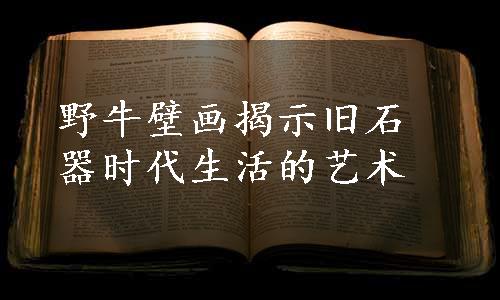 野牛壁画揭示旧石器时代生活的艺术