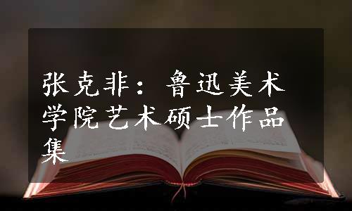 张克非：鲁迅美术学院艺术硕士作品集