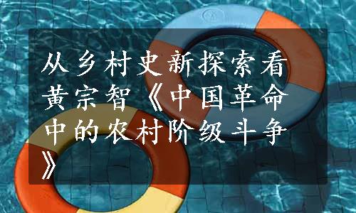 从乡村史新探索看黄宗智《中国革命中的农村阶级斗争》