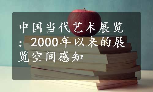 中国当代艺术展览：2000年以来的展览空间感知