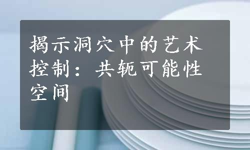 揭示洞穴中的艺术控制：共轭可能性空间