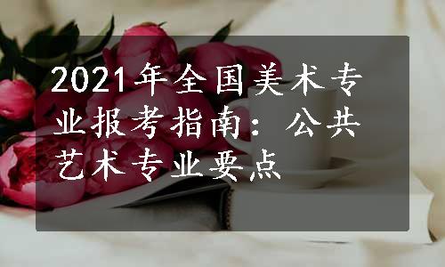 2021年全国美术专业报考指南：公共艺术专业要点