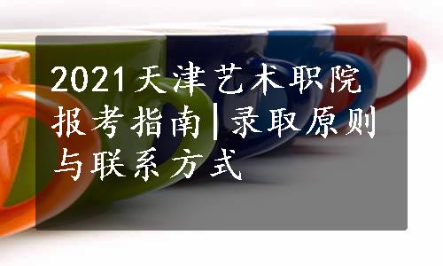 2021天津艺术职院报考指南|录取原则与联系方式