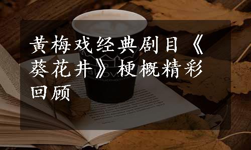 黄梅戏经典剧目《葵花井》梗概精彩回顾