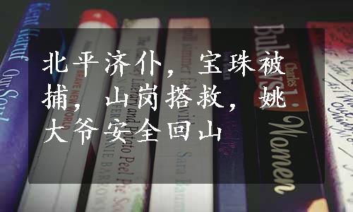 北平济仆，宝珠被捕，山岗搭救，姚大爷安全回山