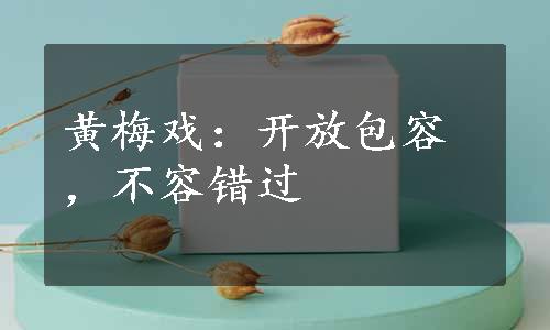 黄梅戏：开放包容，不容错过