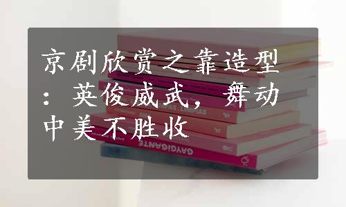 京剧欣赏之靠造型：英俊威武，舞动中美不胜收