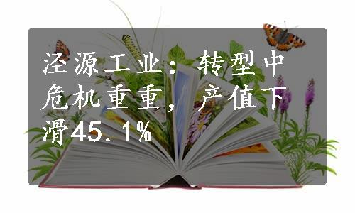 泾源工业：转型中危机重重，产值下滑45.1%