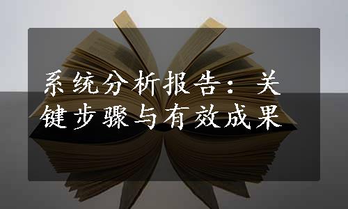 系统分析报告：关键步骤与有效成果