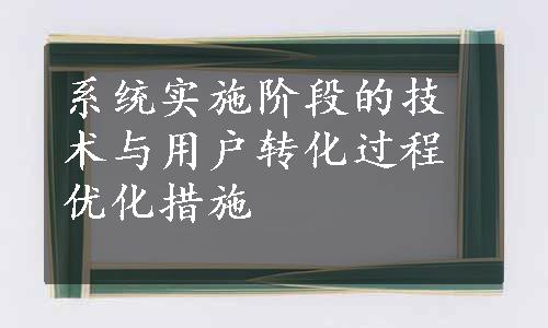 系统实施阶段的技术与用户转化过程优化措施