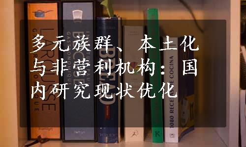 多元族群、本土化与非营利机构：国内研究现状优化