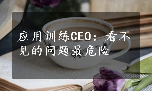 应用训练CEO：看不见的问题最危险