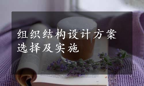 组织结构设计方案选择及实施