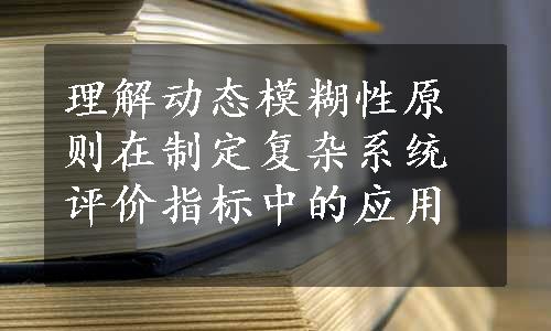 理解动态模糊性原则在制定复杂系统评价指标中的应用